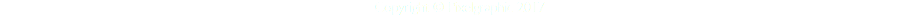 Copyright © Pixelgraphic 2017